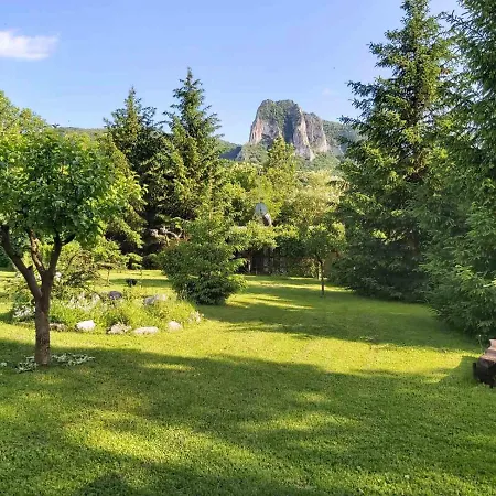 Camping Edelweiss - Floare De Colt - Gyopar