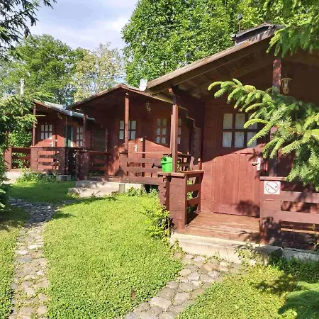 Edelweiss - Floare De Colt - Gyopar Camping