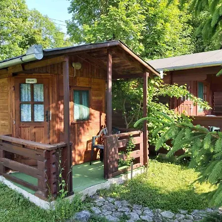 Edelweiss - Floare De Colt - Gyopar Camping Rimetea